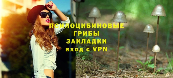 дмт Абаза