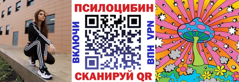 дарнет шоп  Фатеж  Галлюциногенные грибы Magic Shrooms 